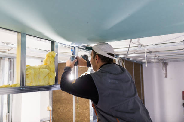 Best Insulation Installation Services in Quanah, TX